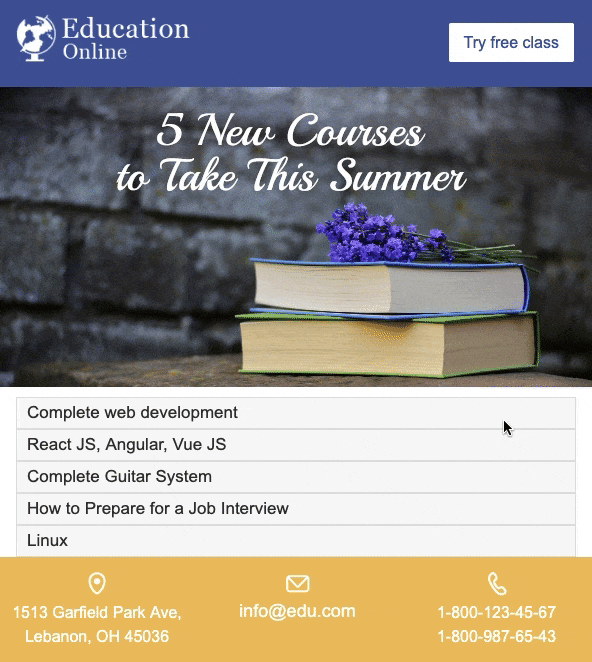 Stripo’s AMP email
