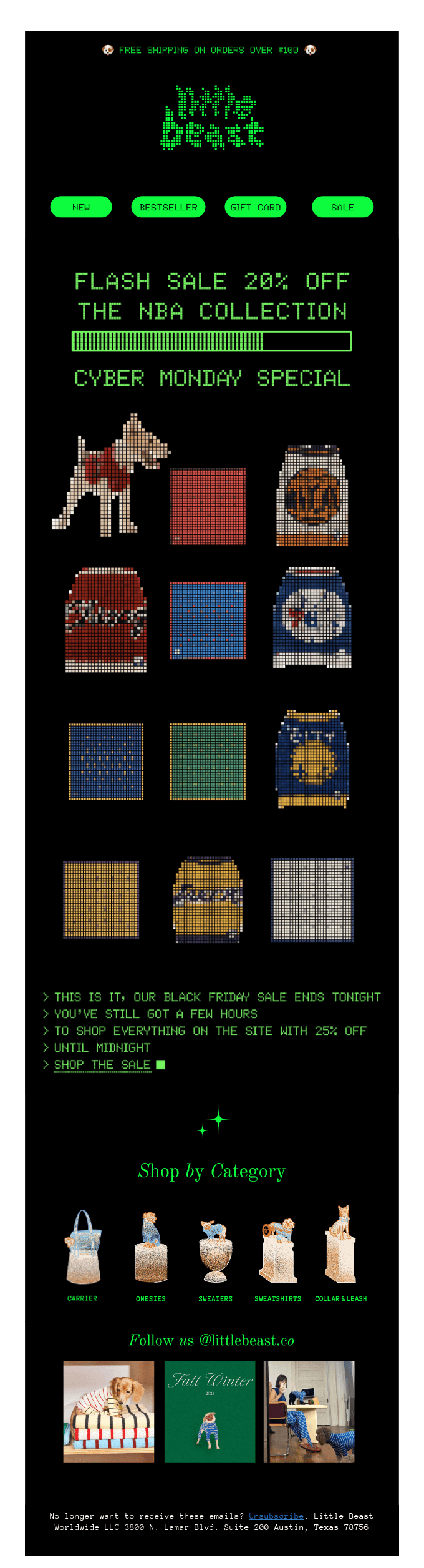 email template from Little Beast