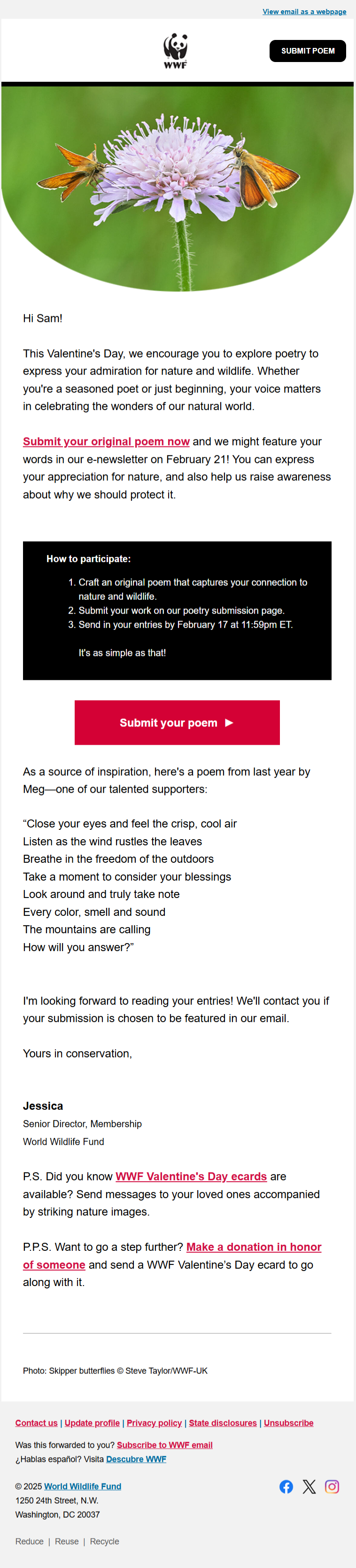 email template by World Wide Fund for Nature (WWF)